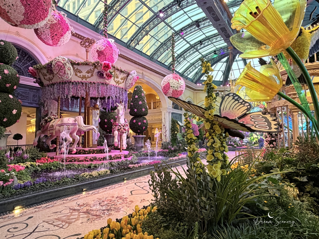 【美國-Las Vegas】Bellagio 2026 春季花園|Springtime Symphony: Music In Motion - 第11張圖 【美國-Las Vegas】Bellagio 2026 春季花園|Springtime Symphony: Music In Motion