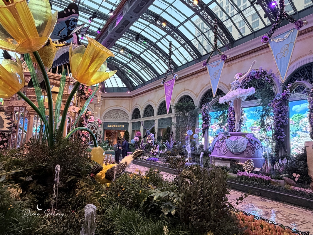 【美國-Las Vegas】Bellagio 2026 春季花園|Springtime Symphony: Music In Motion - 第12張圖 【美國-Las Vegas】Bellagio 2026 春季花園|Springtime Symphony: Music In Motion