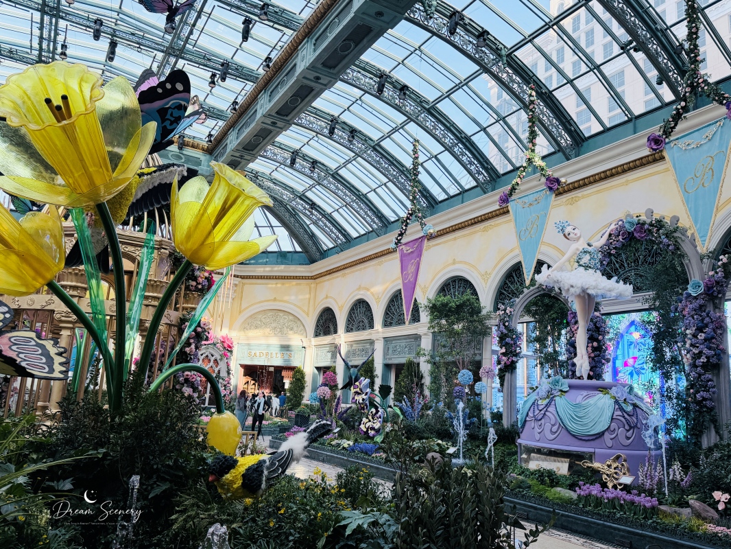 【美國-Las Vegas】Bellagio 2026 春季花園|Springtime Symphony: Music In Motion - 第13張圖 【美國-Las Vegas】Bellagio 2026 春季花園|Springtime Symphony: Music In Motion