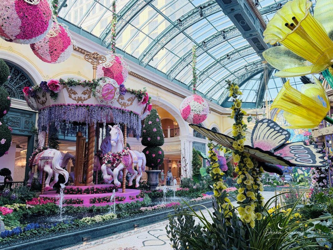 【美國-Las Vegas】Bellagio 2026 春季花園|Springtime Symphony: Music In Motion - 第20張圖 【美國-Las Vegas】Bellagio 2026 春季花園|Springtime Symphony: Music In Motion