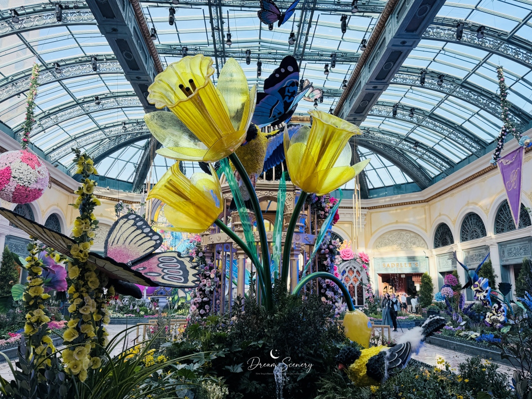 【美國-Las Vegas】Bellagio 2026 春季花園|Springtime Symphony: Music In Motion - 第19張圖 【美國-Las Vegas】Bellagio 2026 春季花園|Springtime Symphony: Music In Motion