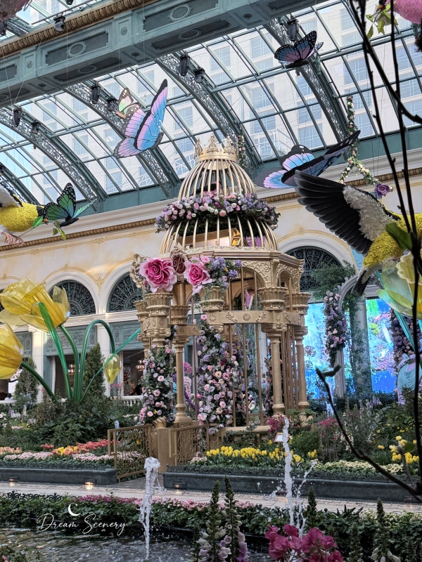 【美國-Las Vegas】Bellagio 2026 春季花園|Springtime Symphony: Music In Motion - 第18張圖 【美國-Las Vegas】Bellagio 2026 春季花園|Springtime Symphony: Music In Motion