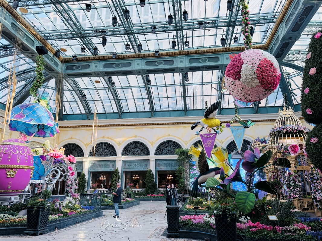 【美國-Las Vegas】Bellagio 2026 春季花園|Springtime Symphony: Music In Motion - 第17張圖 【美國-Las Vegas】Bellagio 2026 春季花園|Springtime Symphony: Music In Motion