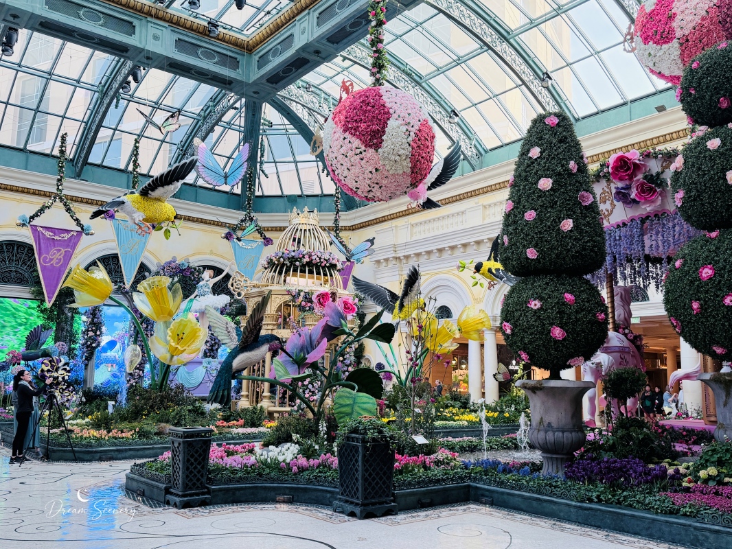 【美國-Las Vegas】Bellagio 2026 春季花園|Springtime Symphony: Music In Motion - 第15張圖 【美國-Las Vegas】Bellagio 2026 春季花園|Springtime Symphony: Music In Motion