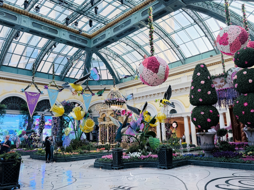 【美國-Las Vegas】Bellagio 2026 春季花園|Springtime Symphony: Music In Motion - 第14張圖 【美國-Las Vegas】Bellagio 2026 春季花園|Springtime Symphony: Music In Motion