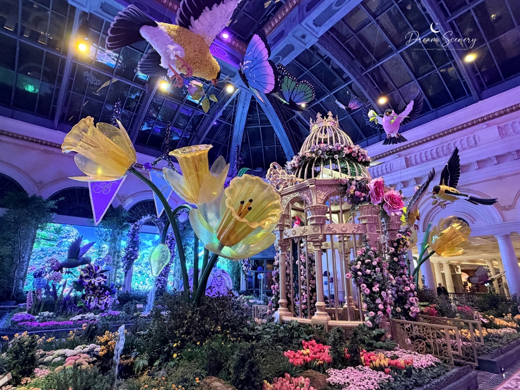 【美國-Las Vegas】Bellagio 2026 春季花園|Springtime Symphony: Music In Motion - 第26張圖 【美國-Las Vegas】Bellagio 2026 春季花園|Springtime Symphony: Music In Motion