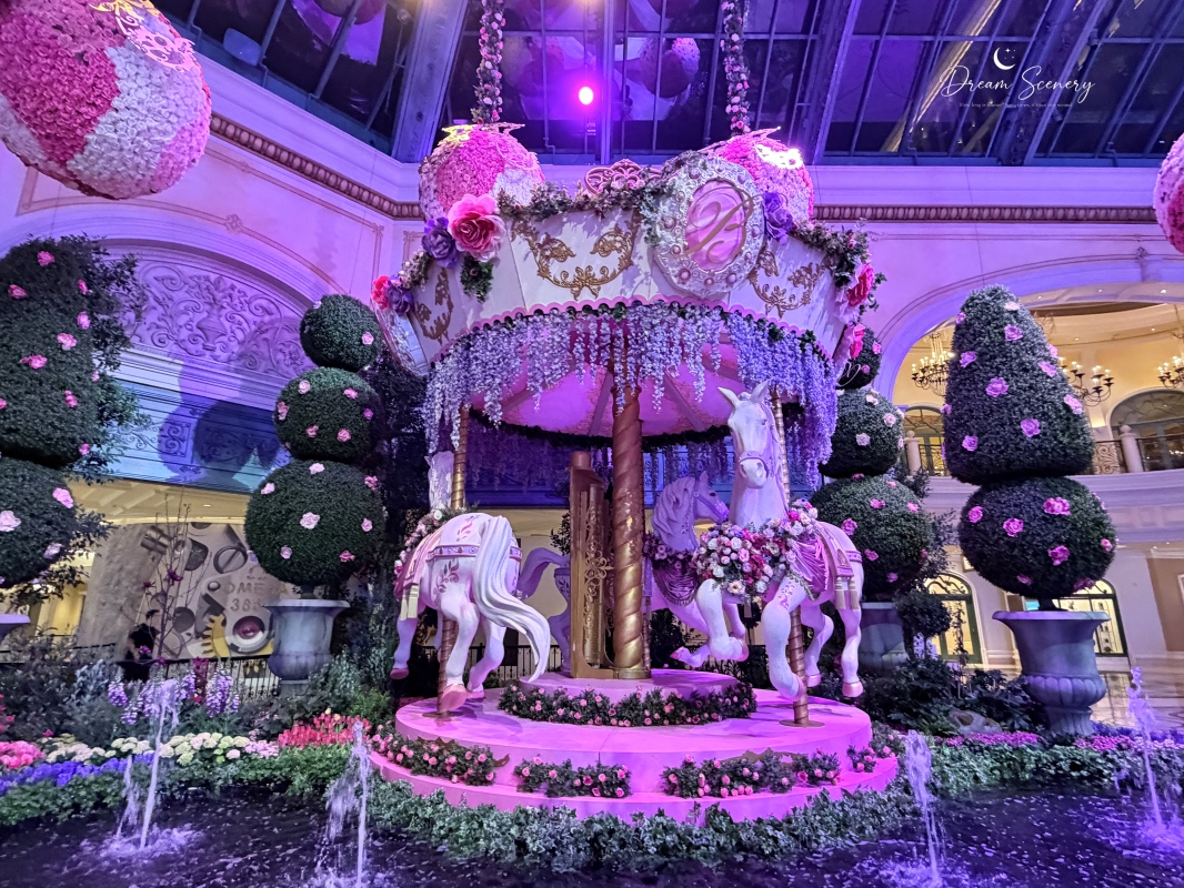 【美國-Las Vegas】Bellagio 2026 春季花園|Springtime Symphony: Music In Motion - 第27張圖 【美國-Las Vegas】Bellagio 2026 春季花園|Springtime Symphony: Music In Motion