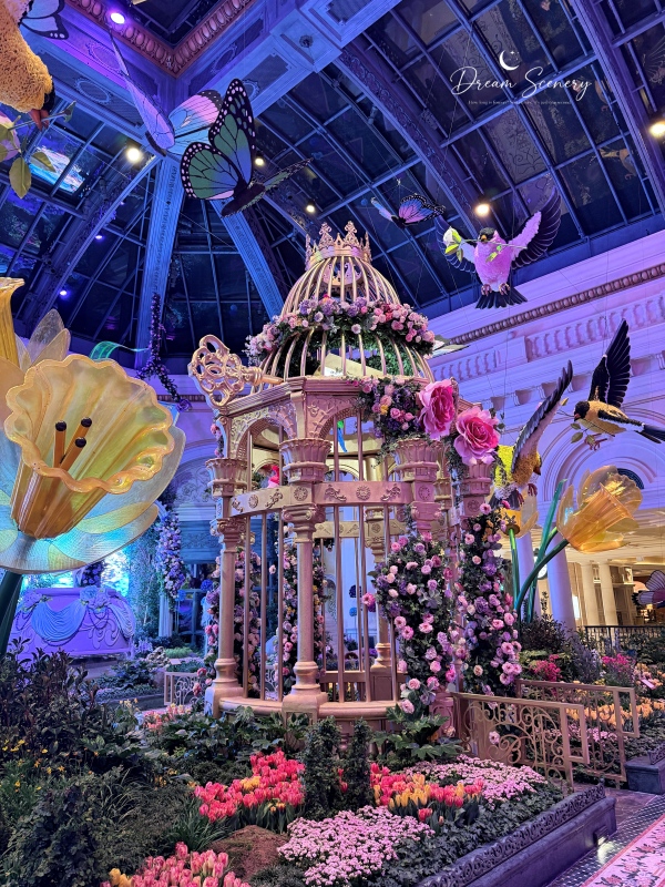【美國-Las Vegas】Bellagio 2026 春季花園|Springtime Symphony: Music In Motion - 第31張圖 【美國-Las Vegas】Bellagio 2026 春季花園|Springtime Symphony: Music In Motion