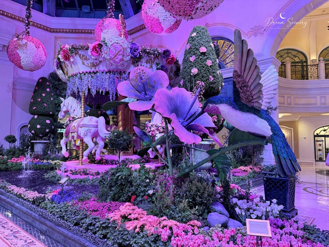 【美國-Las Vegas】Bellagio 2026 春季花園|Springtime Symphony: Music In Motion - 第29張圖 【美國-Las Vegas】Bellagio 2026 春季花園|Springtime Symphony: Music In Motion