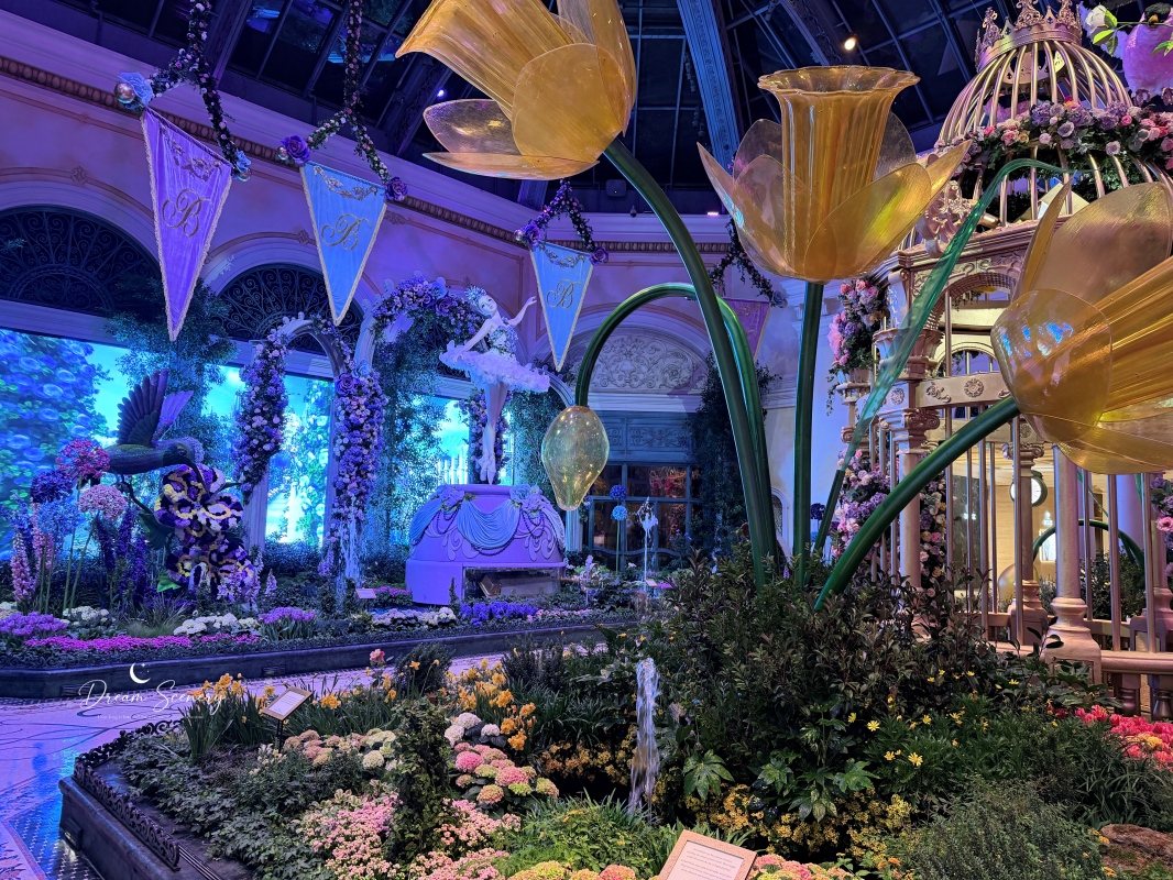 【美國-Las Vegas】Bellagio 2026 春季花園|Springtime Symphony: Music In Motion - 第28張圖 【美國-Las Vegas】Bellagio 2026 春季花園|Springtime Symphony: Music In Motion