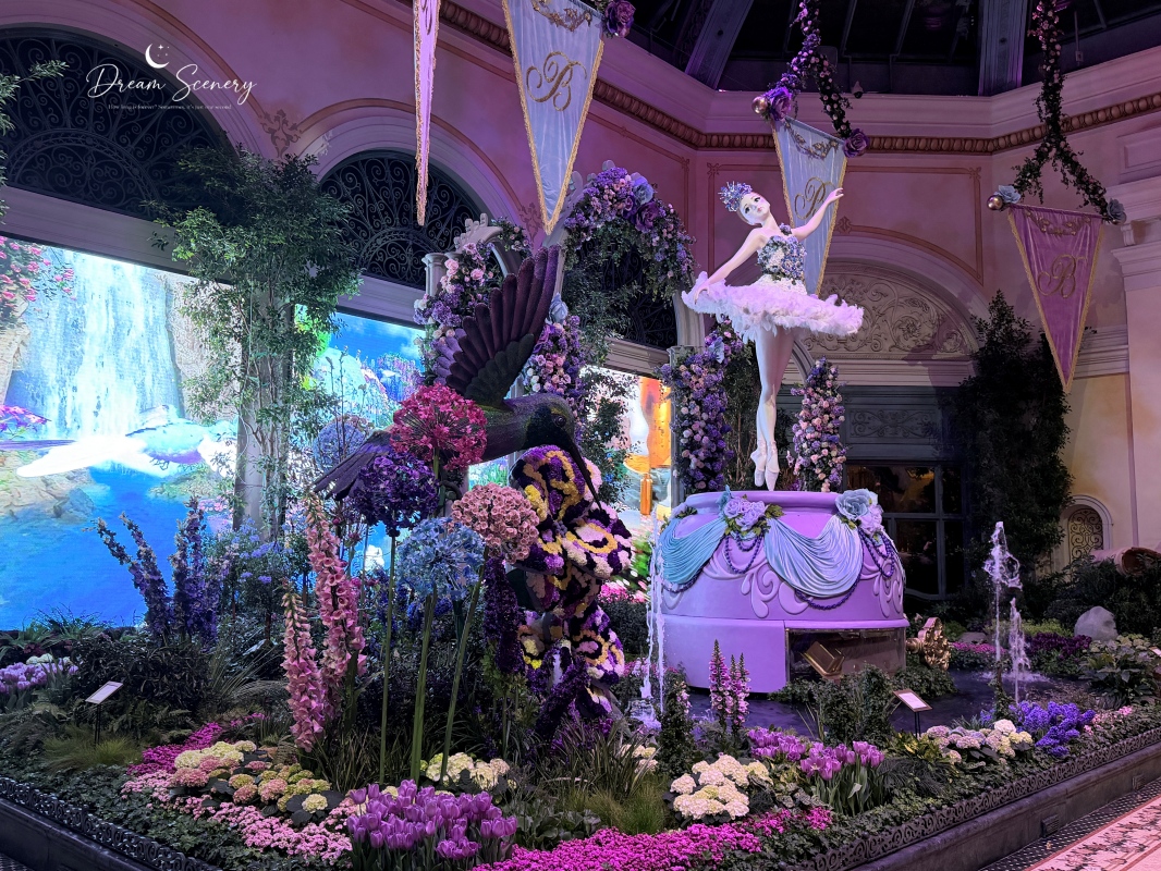 【美國-Las Vegas】Bellagio 2026 春季花園|Springtime Symphony: Music In Motion - 第38張圖 【美國-Las Vegas】Bellagio 2026 春季花園|Springtime Symphony: Music In Motion