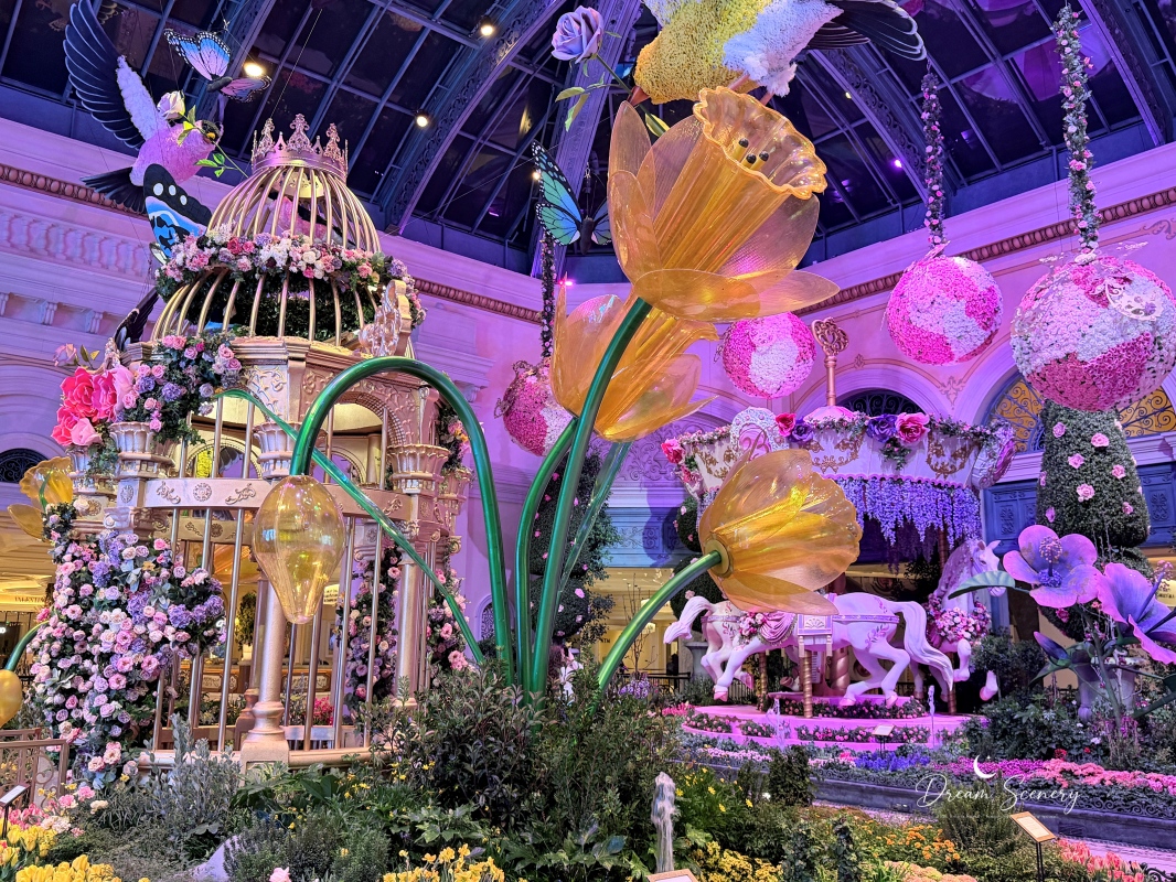 【美國-Las Vegas】Bellagio 2026 春季花園|Springtime Symphony: Music In Motion - 第39張圖 【美國-Las Vegas】Bellagio 2026 春季花園|Springtime Symphony: Music In Motion