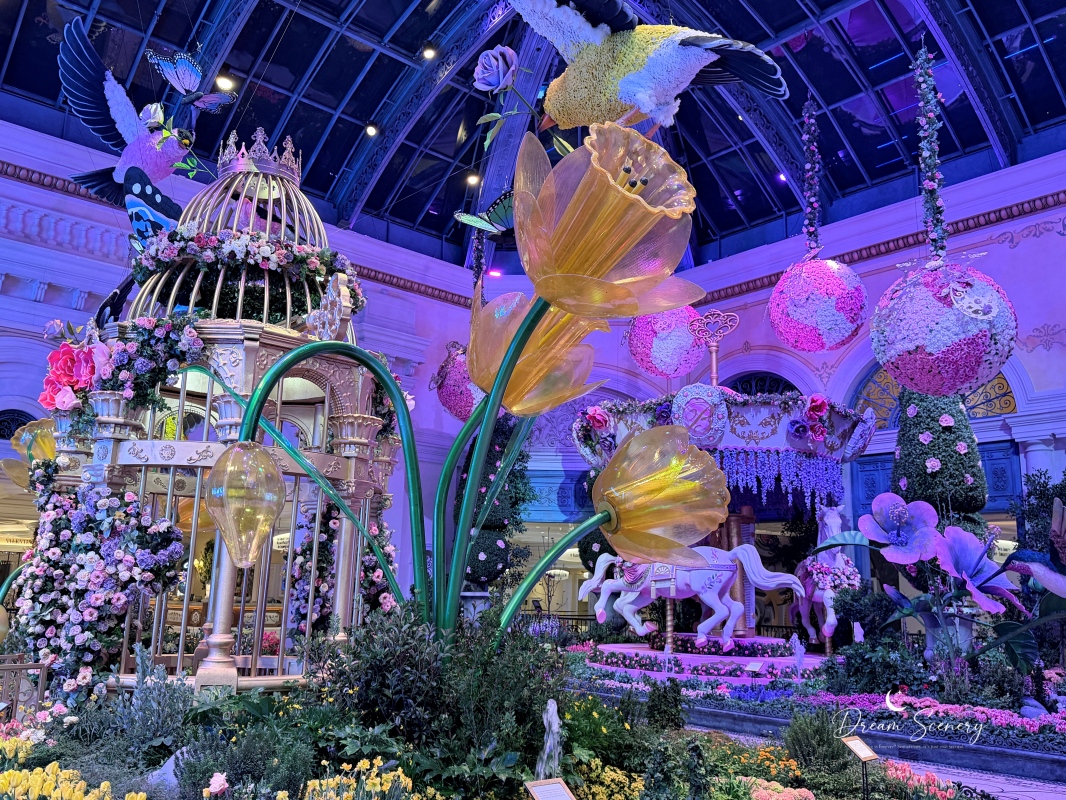 【美國-Las Vegas】Bellagio 2026 春季花園|Springtime Symphony: Music In Motion - 第47張圖 【美國-Las Vegas】Bellagio 2026 春季花園|Springtime Symphony: Music In Motion