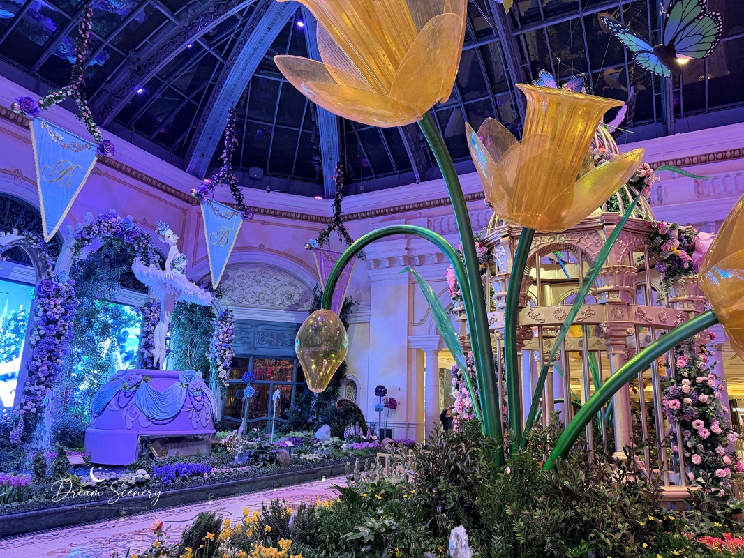 【美國-Las Vegas】Bellagio 2026 春季花園|Springtime Symphony: Music In Motion - 第46張圖 【美國-Las Vegas】Bellagio 2026 春季花園|Springtime Symphony: Music In Motion