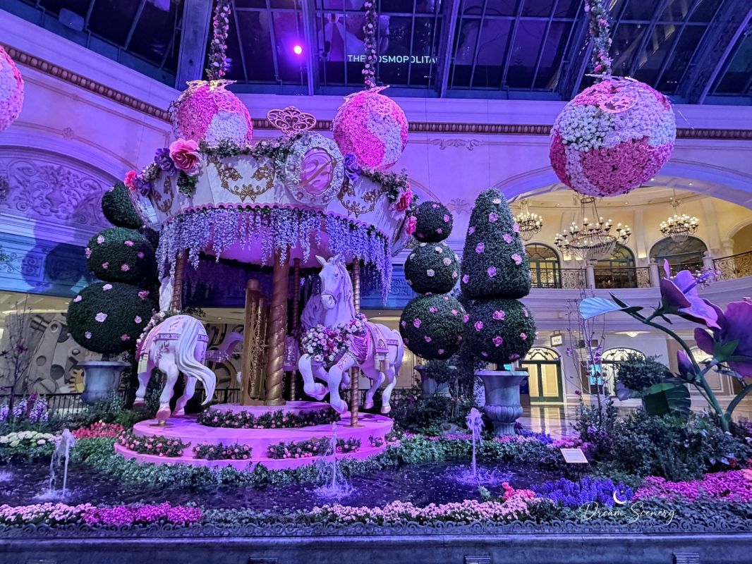 【美國-Las Vegas】Bellagio 2026 春季花園|Springtime Symphony: Music In Motion - 第45張圖 【美國-Las Vegas】Bellagio 2026 春季花園|Springtime Symphony: Music In Motion