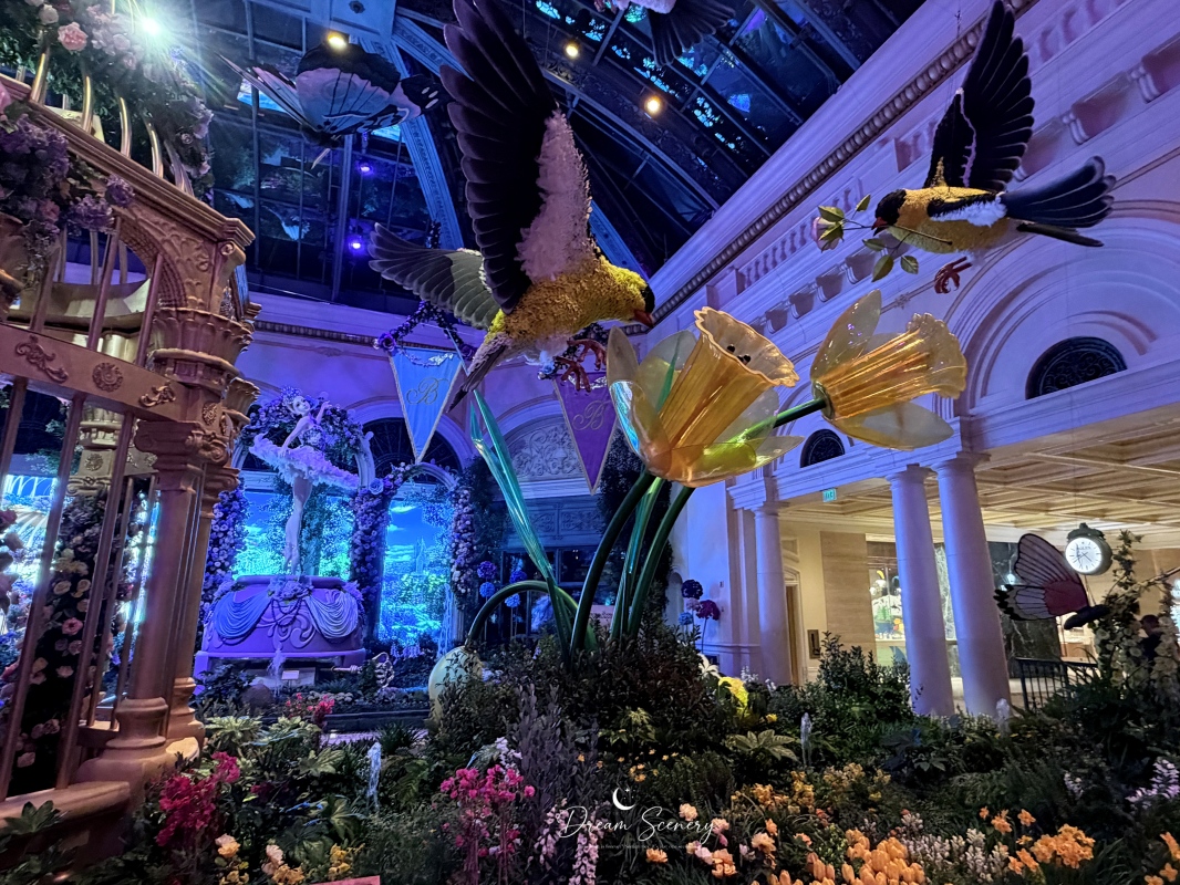 【美國-Las Vegas】Bellagio 2026 春季花園|Springtime Symphony: Music In Motion - 第44張圖 【美國-Las Vegas】Bellagio 2026 春季花園|Springtime Symphony: Music In Motion