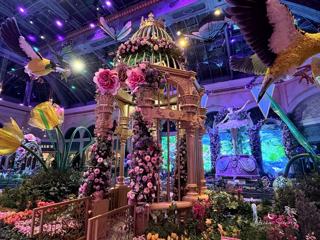 【美國-Las Vegas】Bellagio 2026 春季花園|Springtime Symphony: Music In Motion - 第43張圖 【美國-Las Vegas】Bellagio 2026 春季花園|Springtime Symphony: Music In Motion
