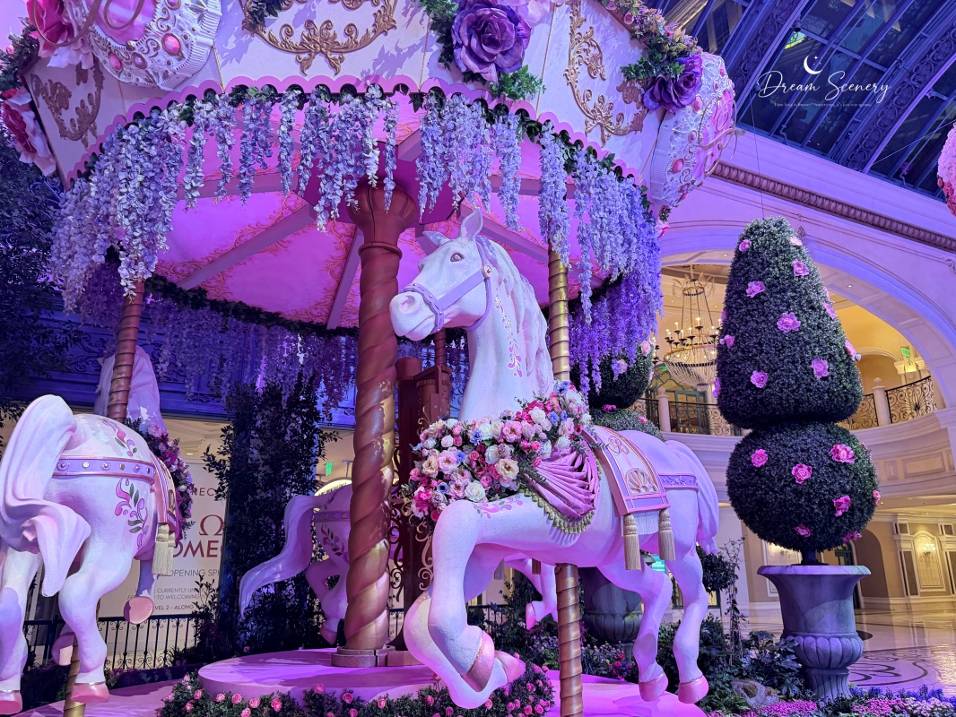 【美國-Las Vegas】Bellagio 2026 春季花園|Springtime Symphony: Music In Motion - 第41張圖 【美國-Las Vegas】Bellagio 2026 春季花園|Springtime Symphony: Music In Motion