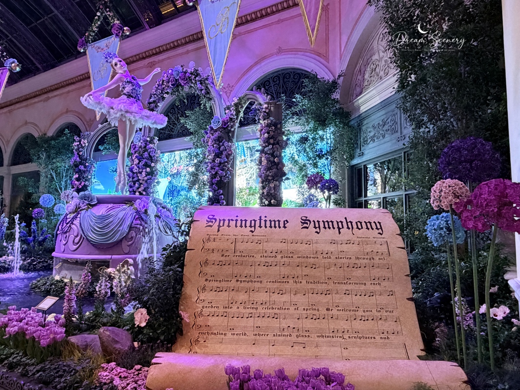 【美國-Las Vegas】Bellagio 2026 春季花園|Springtime Symphony: Music In Motion - 第48張圖 【美國-Las Vegas】Bellagio 2026 春季花園|Springtime Symphony: Music In Motion