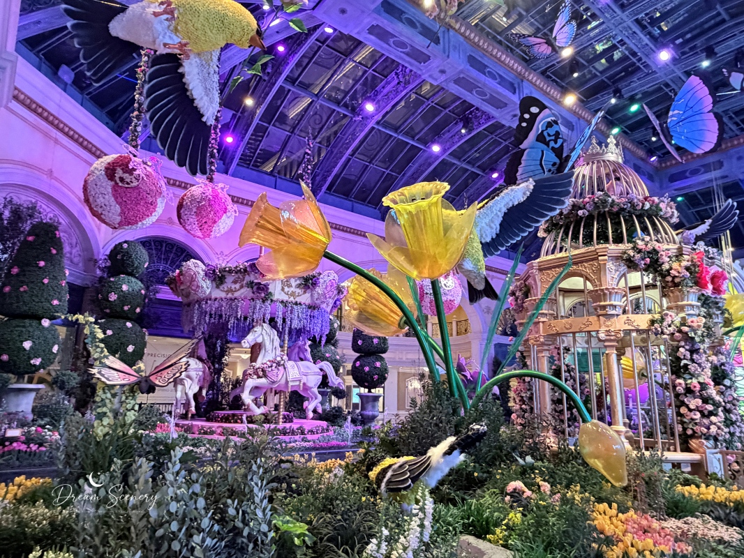 【美國-Las Vegas】Bellagio 2026 春季花園|Springtime Symphony: Music In Motion - 第49張圖 【美國-Las Vegas】Bellagio 2026 春季花園|Springtime Symphony: Music In Motion