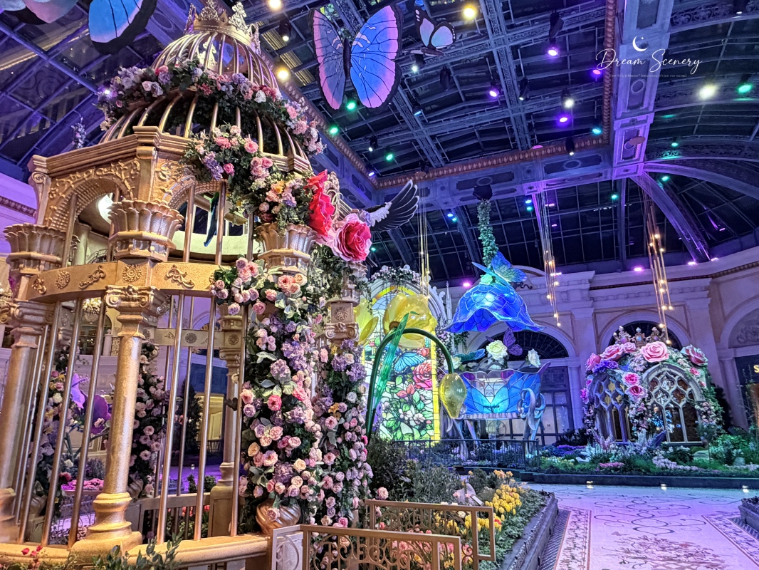 【美國-Las Vegas】Bellagio 2026 春季花園|Springtime Symphony: Music In Motion - 第50張圖 【美國-Las Vegas】Bellagio 2026 春季花園|Springtime Symphony: Music In Motion