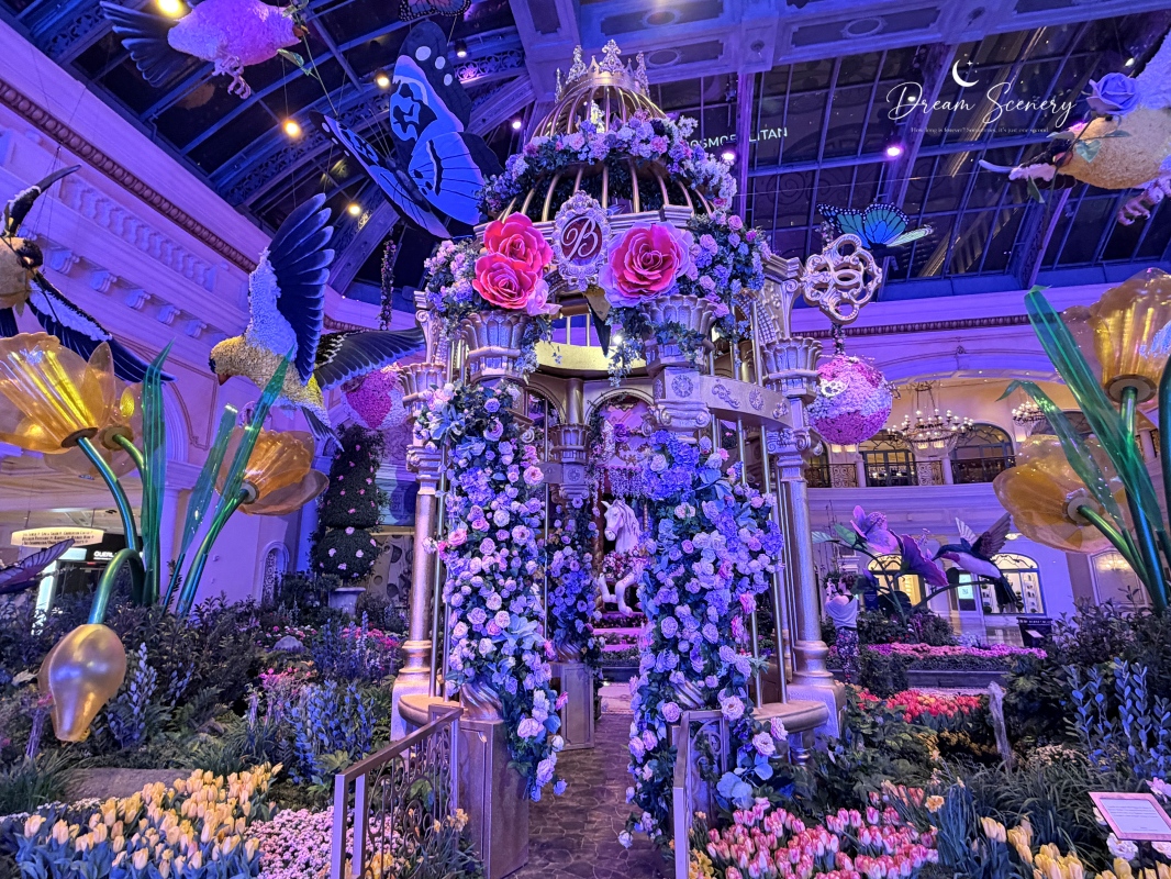 【美國-Las Vegas】Bellagio 2026 春季花園|Springtime Symphony: Music In Motion - 第51張圖 【美國-Las Vegas】Bellagio 2026 春季花園|Springtime Symphony: Music In Motion
