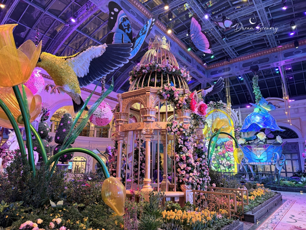 【美國-Las Vegas】Bellagio 2026 春季花園|Springtime Symphony: Music In Motion - 第52張圖 【美國-Las Vegas】Bellagio 2026 春季花園|Springtime Symphony: Music In Motion