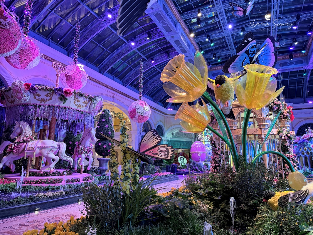 【美國-Las Vegas】Bellagio 2026 春季花園|Springtime Symphony: Music In Motion - 第53張圖 【美國-Las Vegas】Bellagio 2026 春季花園|Springtime Symphony: Music In Motion