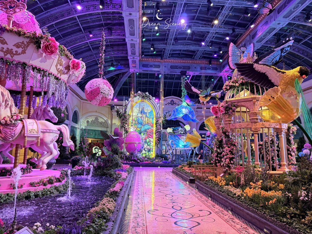 【美國-Las Vegas】Bellagio 2026 春季花園|Springtime Symphony: Music In Motion - 第61張圖 【美國-Las Vegas】Bellagio 2026 春季花園|Springtime Symphony: Music In Motion