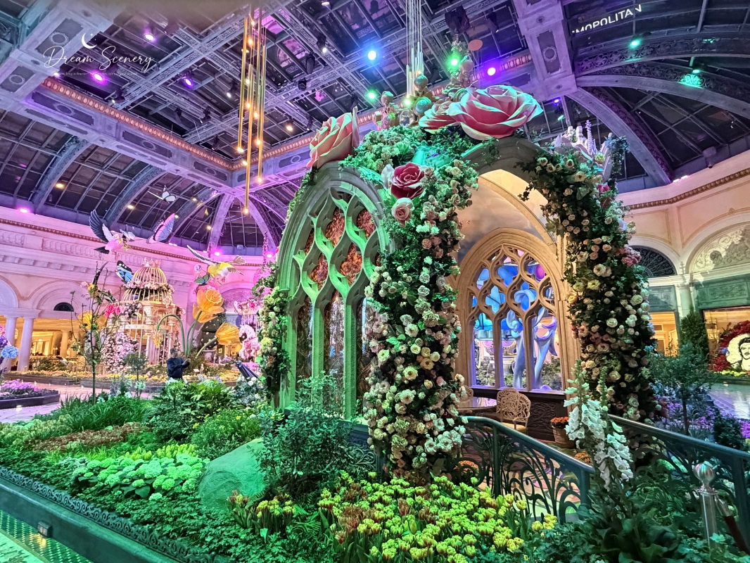 【美國-Las Vegas】Bellagio 2026 春季花園|Springtime Symphony: Music In Motion - 第56張圖 【美國-Las Vegas】Bellagio 2026 春季花園|Springtime Symphony: Music In Motion