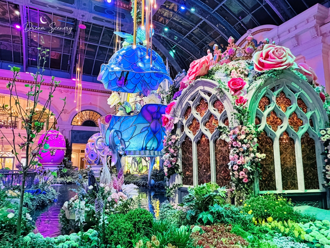 【美國-Las Vegas】Bellagio 2026 春季花園|Springtime Symphony: Music In Motion - 第62張圖 【美國-Las Vegas】Bellagio 2026 春季花園|Springtime Symphony: Music In Motion
