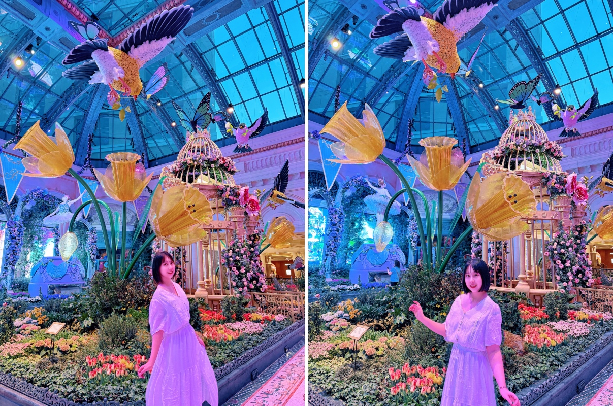 【美國-Las Vegas】Bellagio 2026 春季花園|Springtime Symphony: Music In Motion - 第65張圖 【美國-Las Vegas】Bellagio 2026 春季花園|Springtime Symphony: Music In Motion