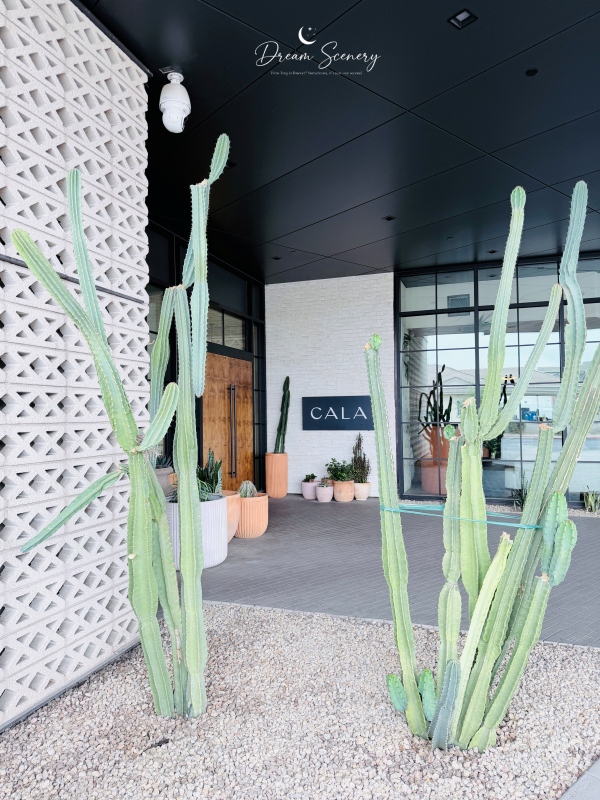 【美國-Arizona】網美必訪地中海餐廳|CALA Scottsdale - 第3張圖 【美國-Arizona】網美必訪地中海餐廳|CALA Scottsdale