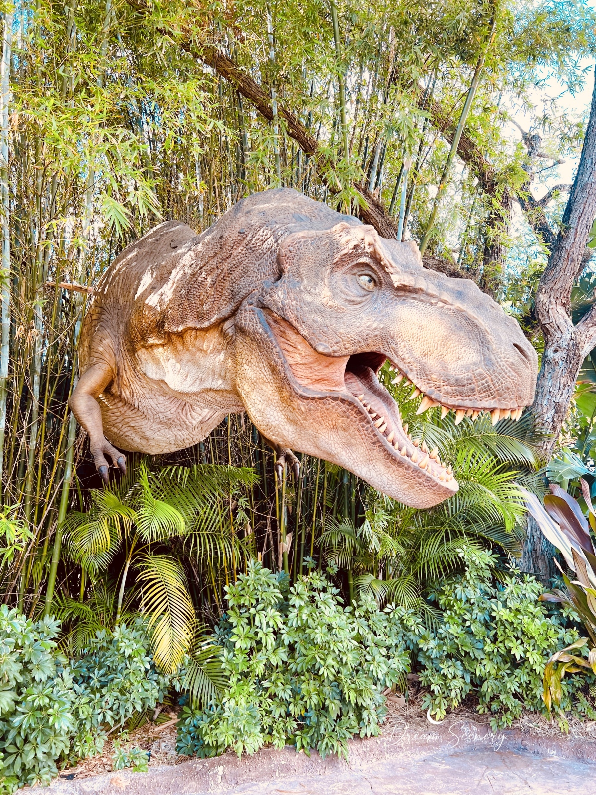 【美國 Florida】2024 奧蘭多環球影城開箱|兩天玩遍 Universal Studios Florida+Islands of Adventure心得分享 - 第107張圖 【美國 Florida】2024 奧蘭多環球影城開箱|兩天玩遍 Universal Studios Florida+Islands of Adventure心得分享