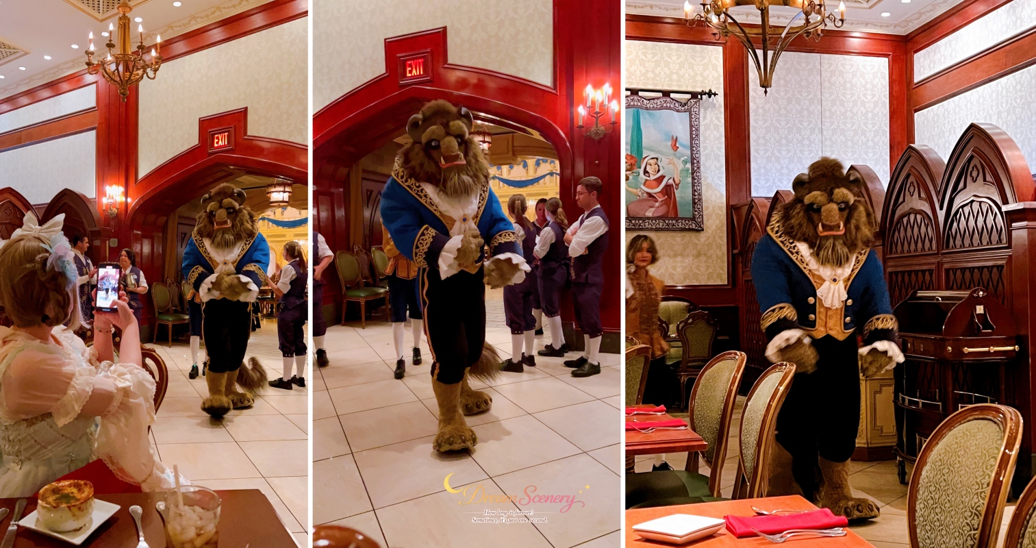 【美國 Florida】2024 Be Our Guest Restaurant|走進美女與野獸城堡用餐!訂位、菜單推薦與野獸見面體驗 - 第27張圖 【美國 Florida】2024 Be Our Guest Restaurant|走進美女與野獸城堡用餐!訂位、菜單推薦與野獸見面體驗