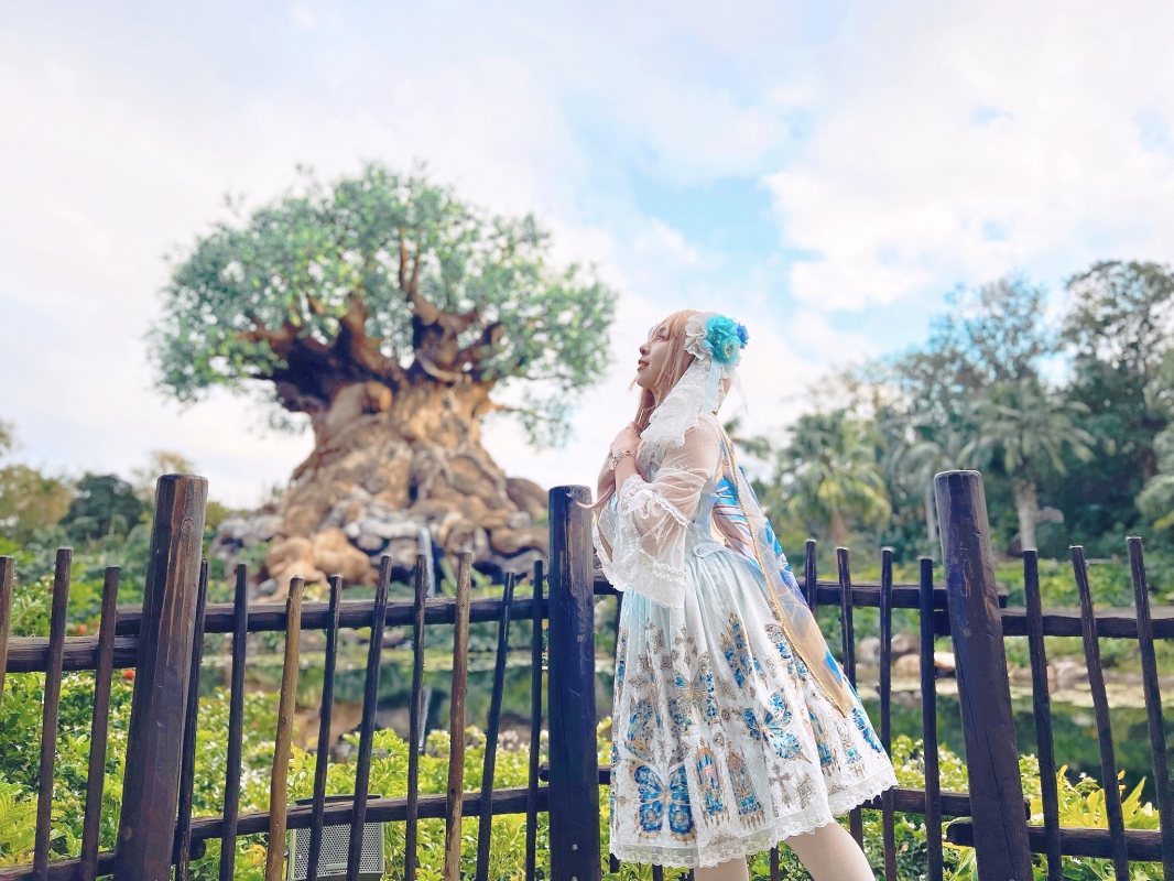 2024 Disney’s Animal Kingdom - 第16張圖 2024 Disney’s Animal Kingdom