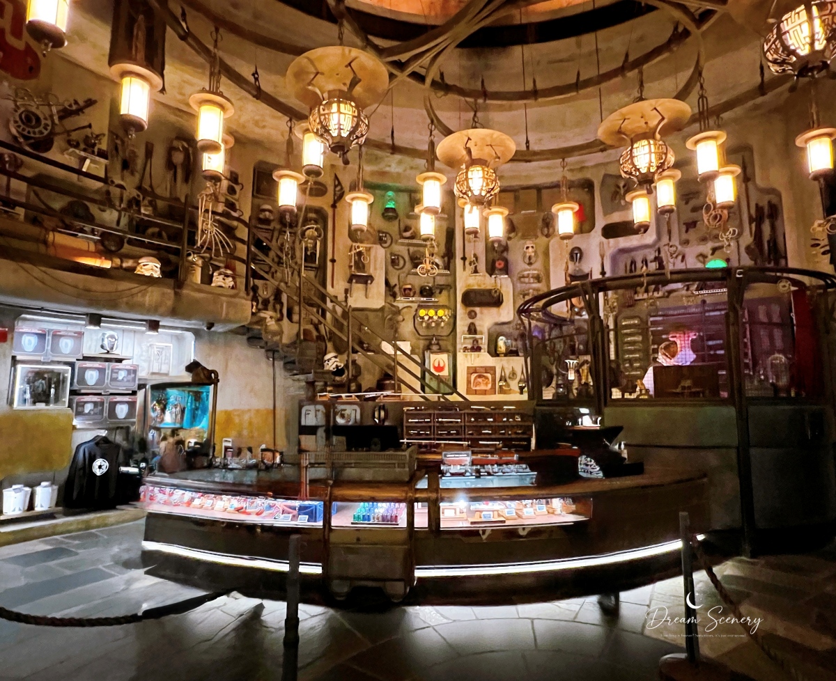 【美國 Florida】2024 Disney’s Hollywood Studios 好萊塢夢工廠全攻略|14大設施評分、必玩推薦、煙火秀一次看 - 第48張圖 【美國 Florida】2024 Disney’s Hollywood Studios 好萊塢夢工廠全攻略|14大設施評分、必玩推薦、煙火秀一次看