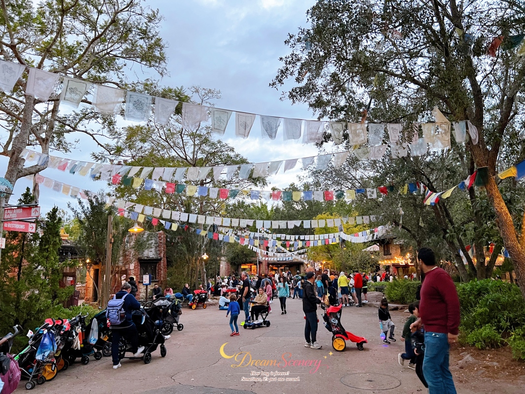【美國 Florida】2024 Disney’s Animal Kingdom 攻略|一日路線+必玩設施 - 第60張圖 【美國 Florida】2024 Disney’s Animal Kingdom 攻略|一日路線+必玩設施