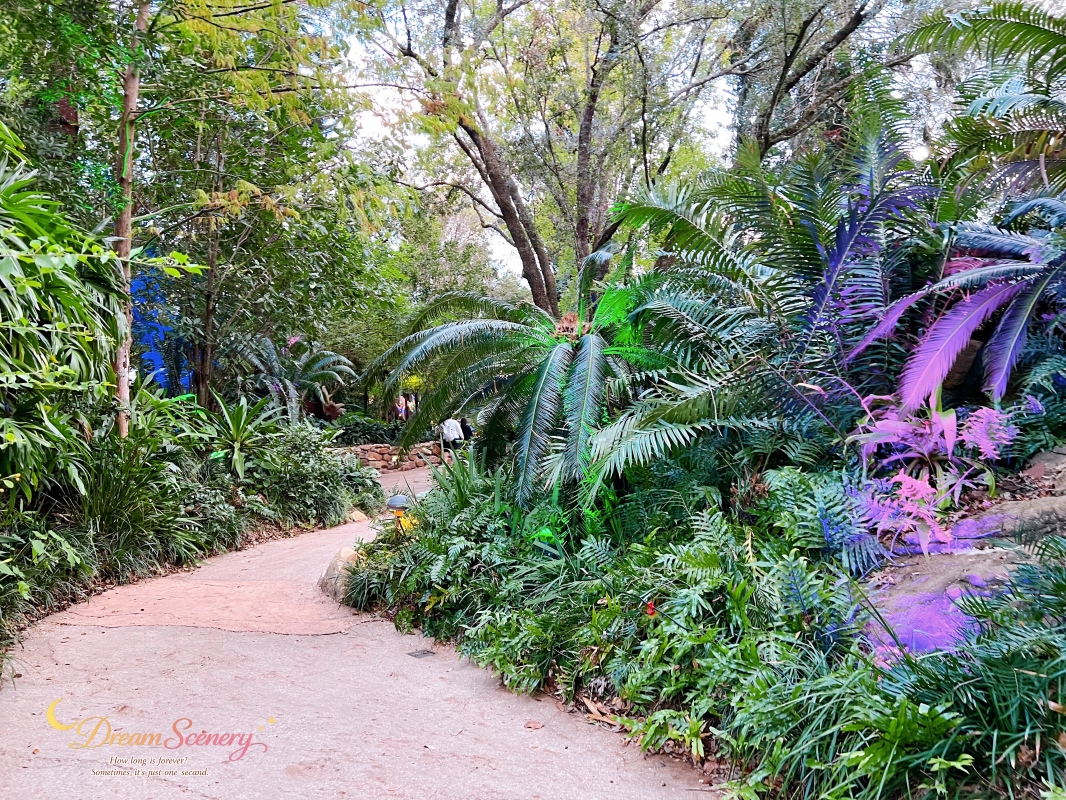 【美國 Florida】2024 Disney’s Animal Kingdom 攻略|一日路線+必玩設施 - 第68張圖 【美國 Florida】2024 Disney’s Animal Kingdom 攻略|一日路線+必玩設施