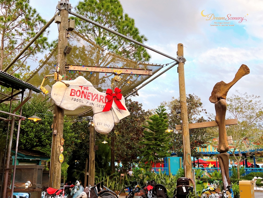 【美國 Florida】2024 Disney’s Animal Kingdom 攻略|一日路線+必玩設施 - 第63張圖 【美國 Florida】2024 Disney’s Animal Kingdom 攻略|一日路線+必玩設施