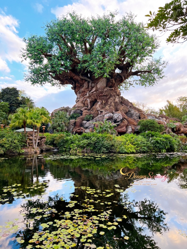 【美國 Florida】2024 Disney’s Animal Kingdom 攻略|一日路線+必玩設施 - 第77張圖 【美國 Florida】2024 Disney’s Animal Kingdom 攻略|一日路線+必玩設施