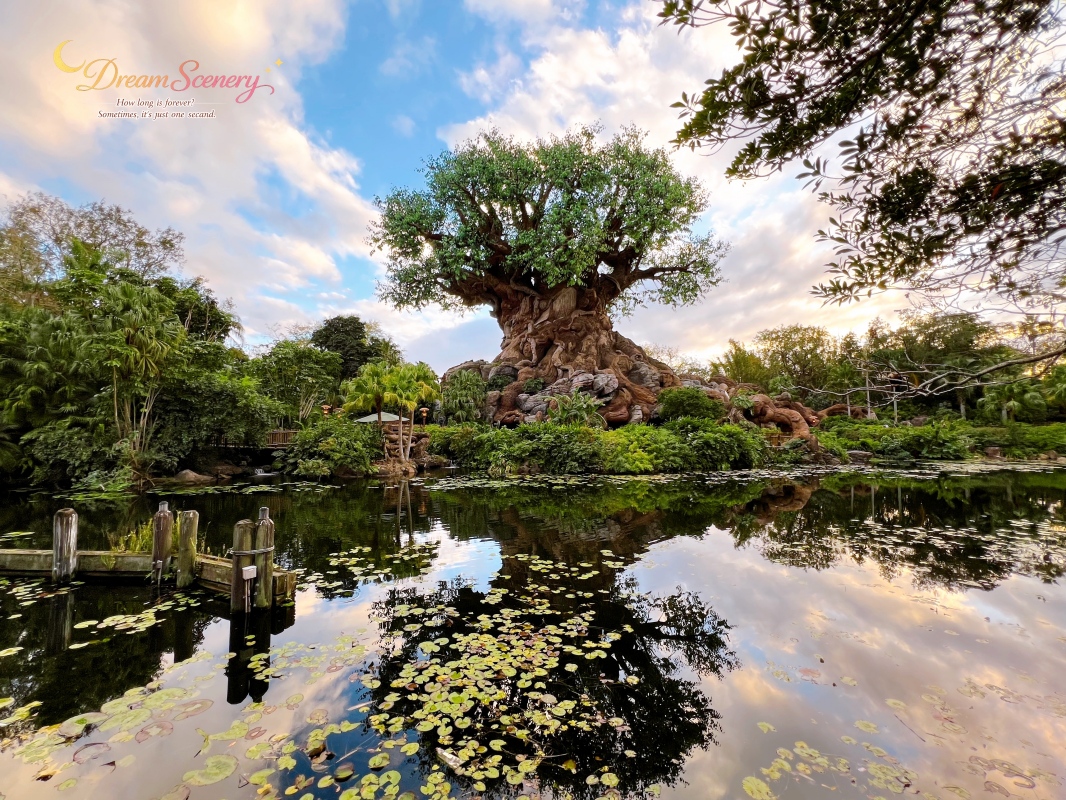 【美國 Florida】2024 Disney’s Animal Kingdom 攻略|一日路線+必玩設施 - 第76張圖 【美國 Florida】2024 Disney’s Animal Kingdom 攻略|一日路線+必玩設施