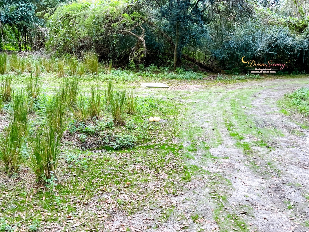 【美國 Florida】2024 Disney’s Animal Kingdom 攻略|一日路線+必玩設施 - 第43張圖 【美國 Florida】2024 Disney’s Animal Kingdom 攻略|一日路線+必玩設施