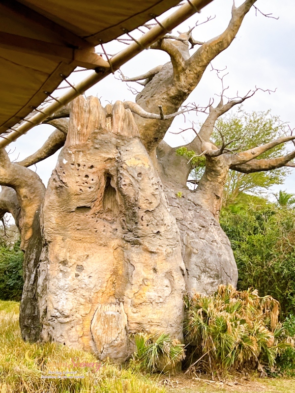 【美國 Florida】2024 Disney’s Animal Kingdom 攻略|一日路線+必玩設施 - 第37張圖 【美國 Florida】2024 Disney’s Animal Kingdom 攻略|一日路線+必玩設施