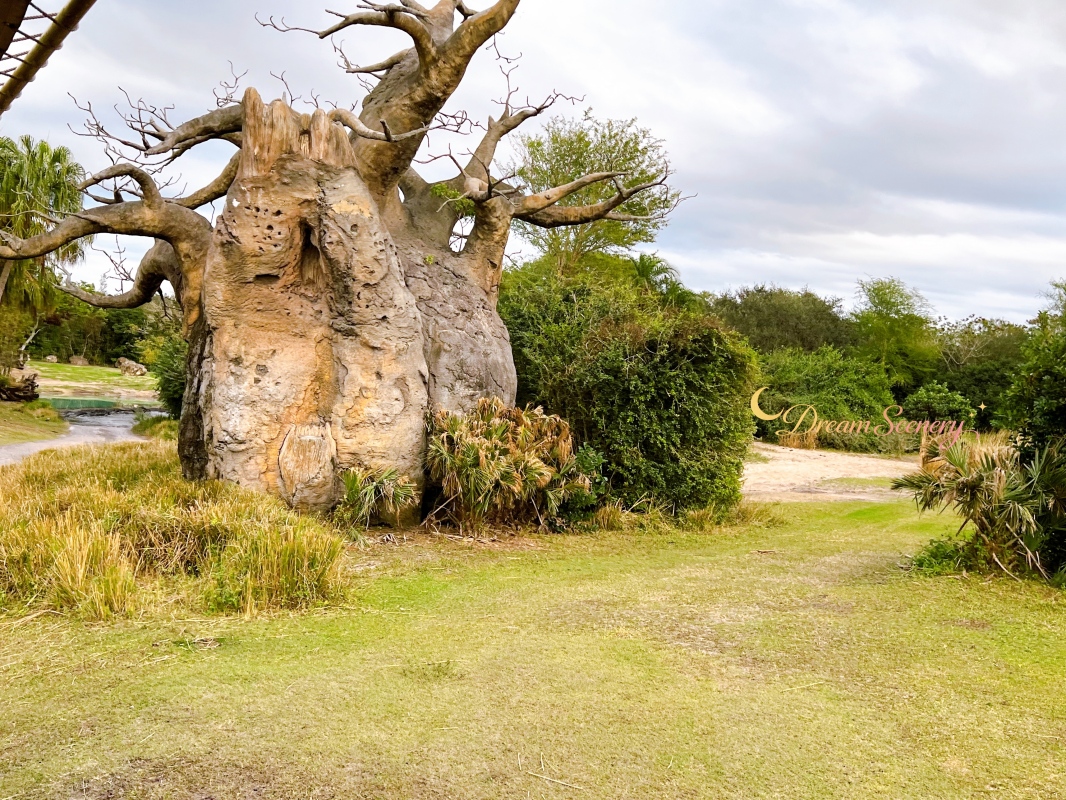 【美國 Florida】2024 Disney’s Animal Kingdom 攻略|一日路線+必玩設施 - 第36張圖 【美國 Florida】2024 Disney’s Animal Kingdom 攻略|一日路線+必玩設施