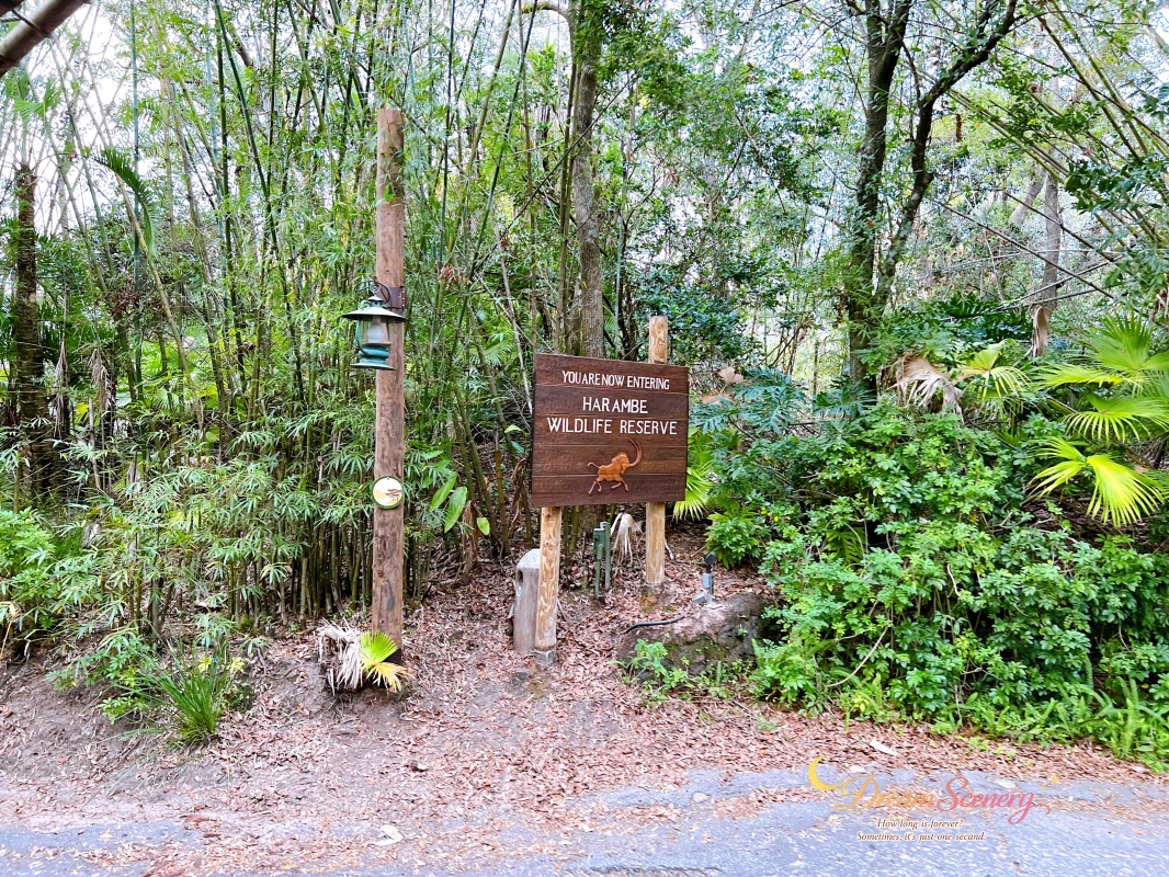 【美國 Florida】2024 Disney’s Animal Kingdom 攻略|一日路線+必玩設施 - 第28張圖 【美國 Florida】2024 Disney’s Animal Kingdom 攻略|一日路線+必玩設施