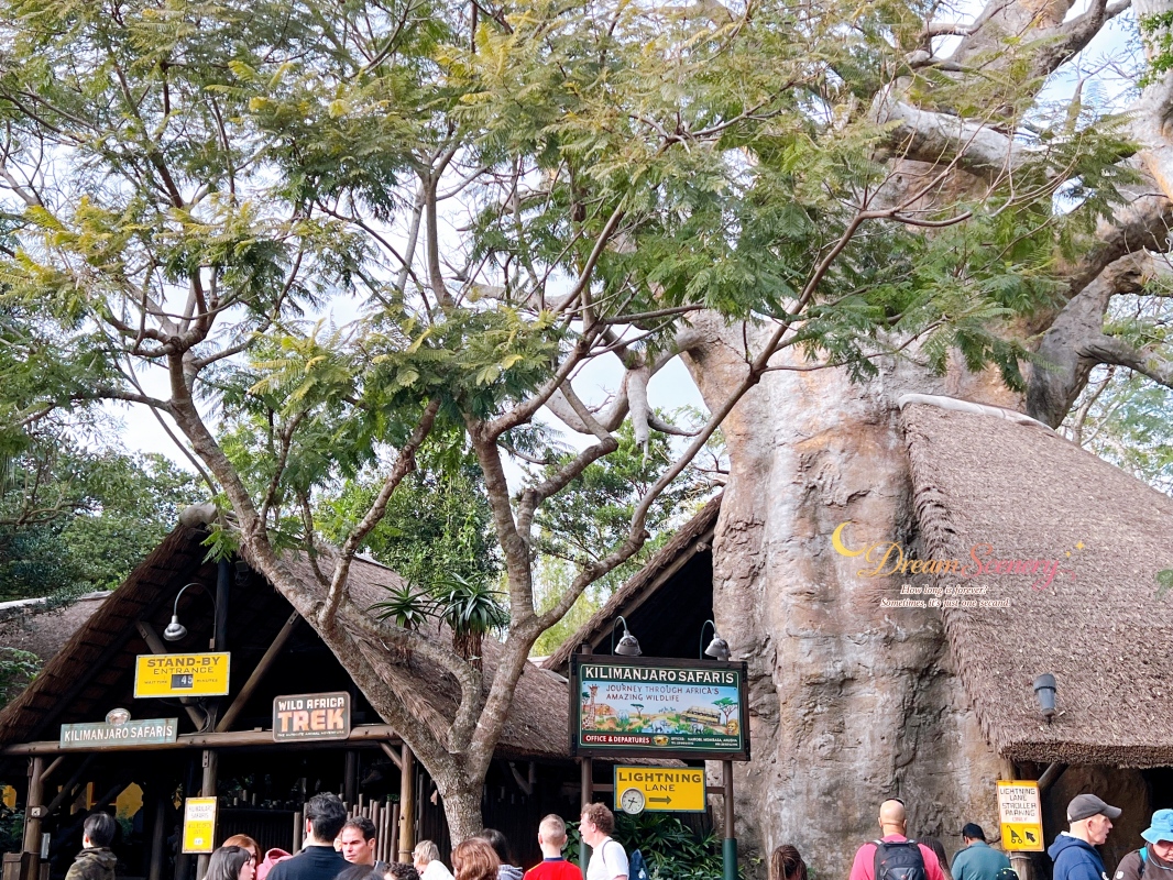 【美國 Florida】2024 Disney’s Animal Kingdom 攻略|一日路線+必玩設施 - 第27張圖 【美國 Florida】2024 Disney’s Animal Kingdom 攻略|一日路線+必玩設施