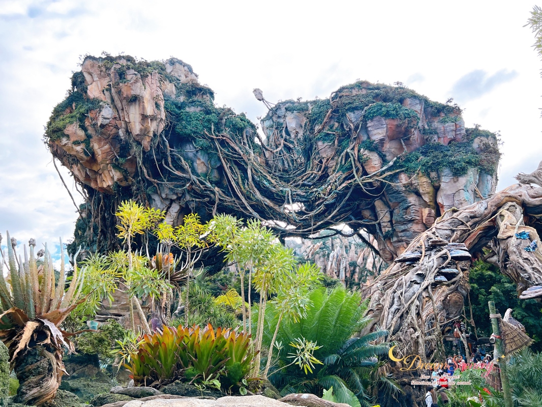 【美國 Florida】2024 Disney’s Animal Kingdom 攻略|一日路線+必玩設施 - 第10張圖 【美國 Florida】2024 Disney’s Animal Kingdom 攻略|一日路線+必玩設施