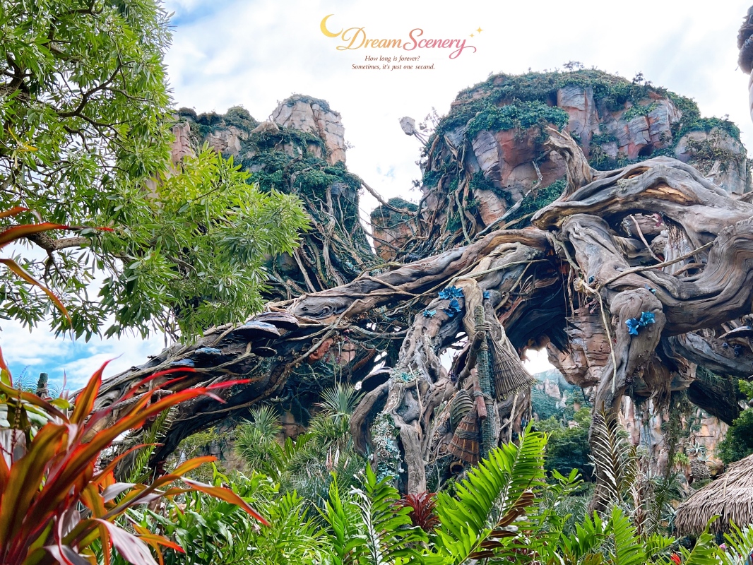 【美國 Florida】2024 Disney’s Animal Kingdom 攻略|一日路線+必玩設施 - 第9張圖 【美國 Florida】2024 Disney’s Animal Kingdom 攻略|一日路線+必玩設施