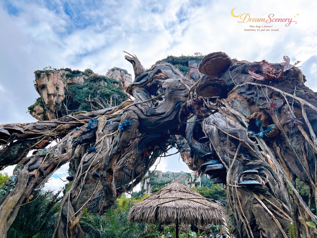 【美國 Florida】2024 Disney’s Animal Kingdom 攻略|一日路線+必玩設施 - 第8張圖 【美國 Florida】2024 Disney’s Animal Kingdom 攻略|一日路線+必玩設施